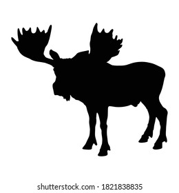 Stehmoose (Alces Alces) auf einer Seite Silhouette gefunden in Karte von Eurasien, Europa und Nordamerika. Gut für gedruckte Elemente, Tierbücher und Tierinhalte geeignet