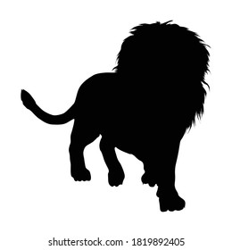 Standing (Panthera leo) On a Front View Silhouette Found In Map Of African. Good To Use For Element Print Book, Animal Book and Animal Content