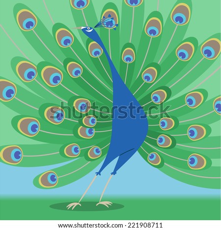 Standing peacock showing off beautiful feathers vector illustration. 