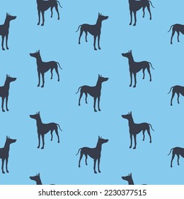El sabueso del faraón de pie aislado en fondo azul. Patrón sin foco. Silueta de perro. Textura sin fin. Diseño de papel pintado, papel envolvente, tela, decoración, diseño. Ilustración vectorial.
