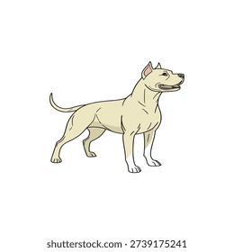 Standing Pitador Dog Vector, Pit Bull Labrador Mix Illustration