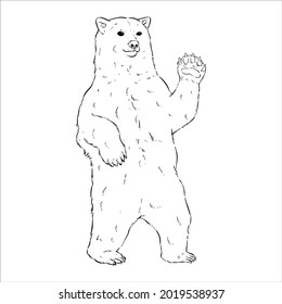 standing polar bear with hand draw or sketch style