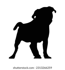 Standing Pug Dog Silhouette. Good To Use For Element Print Book, Animal Book and Animal Content