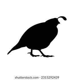 Standing Quail Bird Silhouette. Good To Use For Element Print Book, Animal Book and Animal Content