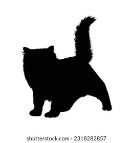 Standing Ragdoll Front View Silhouette. Good To Use For Element Print Book, Animal Book and Animal Content