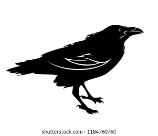 standing raven bird black vector outline