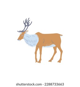Standing reindeer arctic animal side view flat style, vector illustration isolated on white background. Decorative design element, horned brown wild animal