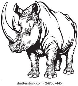 standing rhinoceros or rhino , black and white image