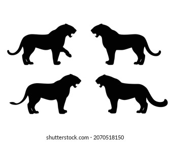 standing and roaring big cat side view outline - tiger, lioness and snow leopard black and white vector silhouette design set