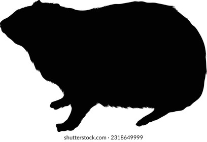 Standing Rock Hyrax Silhouette. Good To Use For Element Print Book, Animal Book and Animal Content