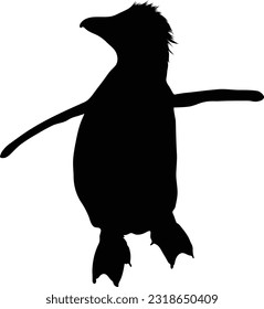 Standing Rockhopper Penguin Silhouette. Good To Use For Element Print Book, Animal Book and Animal Content