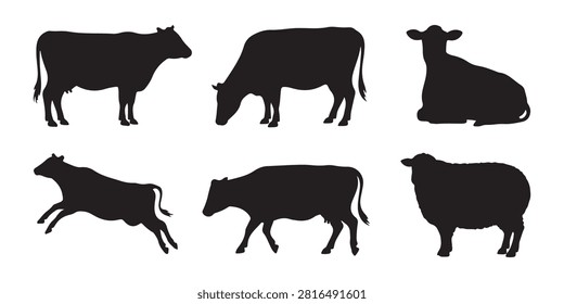 Standing and running livestock graphics, grazing cattle vector shapes, isolated farm animal silhouette set.