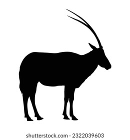 Standing Scimitar Horned Oryx Silhouette. Good To Use For Element Print Book, Animal Book and Animal Content