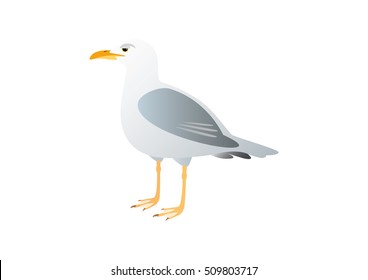 Standing Seagull bird icon vector isolated on a white backgound. Gull vector illustration