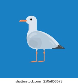 Standing Seagull isolated on blue background. Vector illustration.