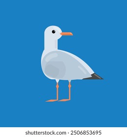 Standing Seagull isolated on blue background. Vector illustration.