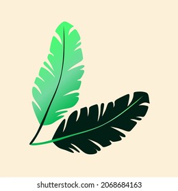 Ständiges Blatt. Blatt mit einem Überbleibsel aus einem anderen Blatt unten in dunkler Farbe.
