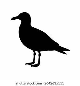 Standing Silhouette of a Coastal Bird