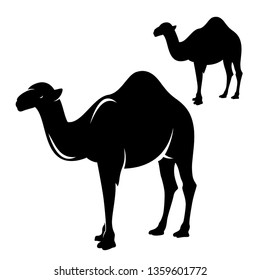 standing single humped arabian camel - black and white vector animal outline and silhouette