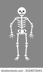 Standing skeleton. Vector clip art.