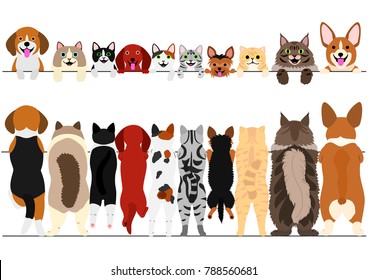 standing small dogs and cats front and back border set