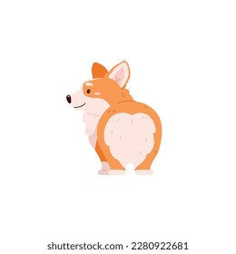 Standing smiling corgi dog back view flat style, vector illustration isolated on white background. Cute funny pet, pedigree dog, decorative design element for cards