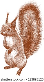 standing squirrel