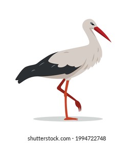 Standing Stork bird isolated on white background. Birds cartoon or flat icon vector illustration.