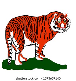 
standing tiger on the grass
