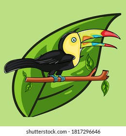  standing toucan in the branch vector illustration