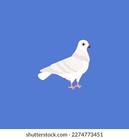 Standing white pigeon with folded wings side view flat style, vector illustration isolated on white background. Urban bird, wedding, decorative design element