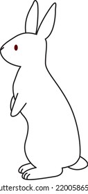 
Standing white rabbit. View from the side.