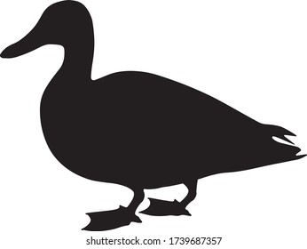 Standing wild duck. Silhouette. Vector illustration isolated on a white background.