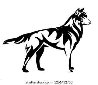 standing wild wolf back and white vector side view outline