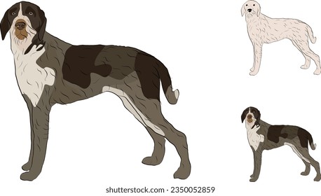 Perro dibujado detallado de Griffon. Mascota de la vista lateral. Diseño de logotipo, silueta de perro, contornos, trazo de perro. El personaje de la mascota es arte de postal. Ilustración detallada de mascotas.