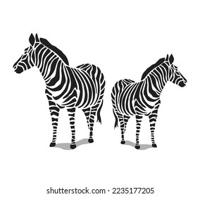 standing zebra illustration vector, zebra animal icon design. isolated white background