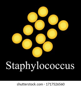 Staphylococcus aureus. Bacteria staphylococcus. Infographics. Vector illustration on isolated background.