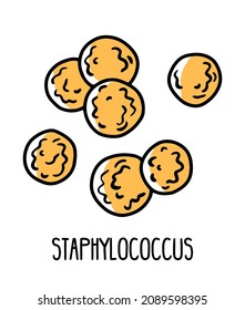 Staphylococcus bad gram-positive bacillales bacteria in the human intestinal microflora, vector illustration. Microbiota of the digestive tract.