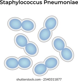 Ilustración vectorial de Ciencia por Staphylococcus Pneumoniae