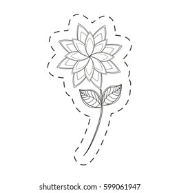 star anice flower decoration cut line vector illustration eps 10