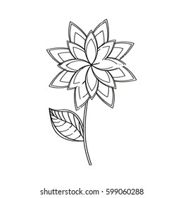 star anice flower decoration sketch vector illustration eps 10
