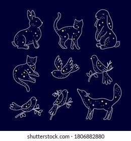 Star animals vector collection. Magic animals and birds with star constellations on dark blue background