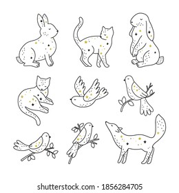 Star animals vector set. Cute animals and birds with stars isolated on white background