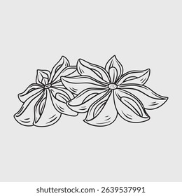 Star Anise Aromatic Spice Thin Line Illustration