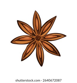 Star anise. Aromatic spice used in cooking, baking, and traditional medicine. Vector illustration in hand-drawn style, isolated on white background