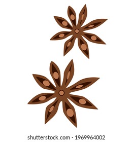 Star anise, Bodyan plant, Pimpinella anisum, Aromatic seasoning for different dishes and drinks, Seasoning for mulled wine, Vector Graphics