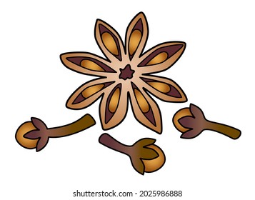 Star Anise And Cloves - Spices Vector Full Color Illustration. Spices - star anise and cloves - element for illustration