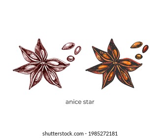 Star Anise Flower, Grain, Brown, Graphics, Color, Orange, A Set Of Images On A White Background