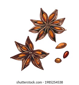 Star Anise Flower, Grains, Brown, Orange, A Set Of Images On A White Background