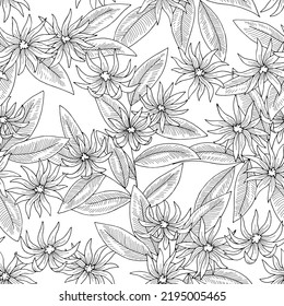 Star Anise Flower Seamless Pattern Background Graphic Black White Sketch Illustration Vector 